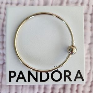Pandora moments galaxy bangle.